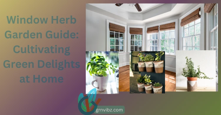 Window Herb Garden Guide: Cultivating Green Delights at Home